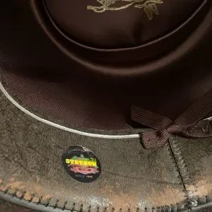 Stetson Chevron Chocolate Stetson | Accessories | Stetson Chevron Chocolate | Poshmark main image 3